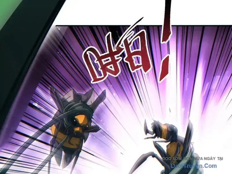 Mạt Thế Trùng Sinh: Ta Dựa Vào Mở Rương Vấn Dỉnh Đỉnh Phong Chapter 72 - Trang 2