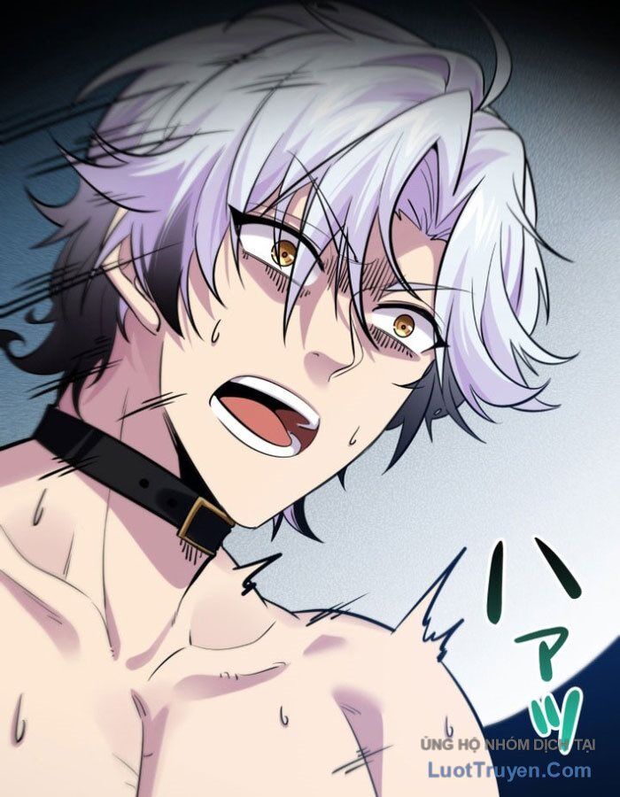 Hiệp Sĩ Chân Lý Chapter 1 - Trang 2