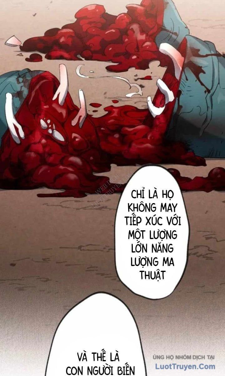 Hiệp Sĩ Hạng Thấp Vô Địch Với Hỏa Diễm Cấm Kỵ Chapter 7 - Trang 2
