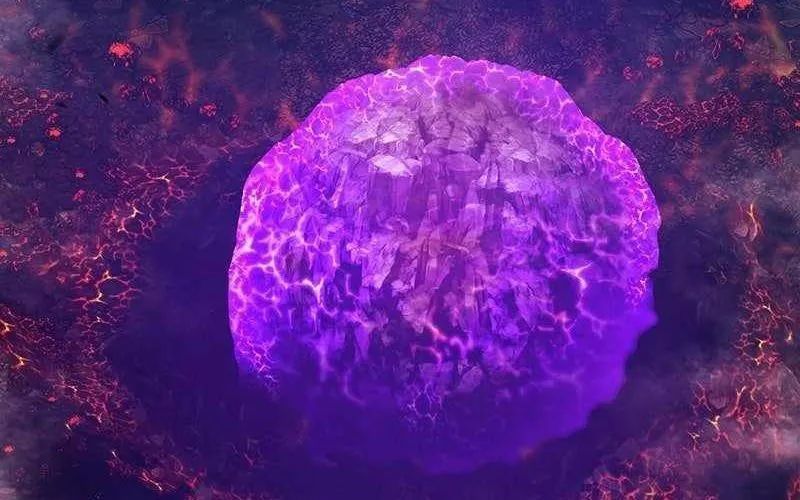 Gậy Gỗ Cấp 99+ Chapter 165 - Trang 2