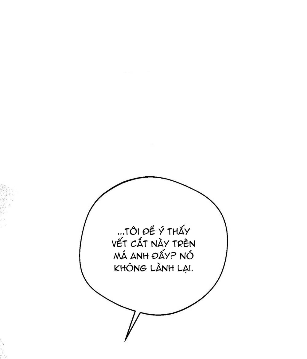 Gửi Lời Chúc Phúc Của Melt Tới Người Chapter 47 - Trang 2