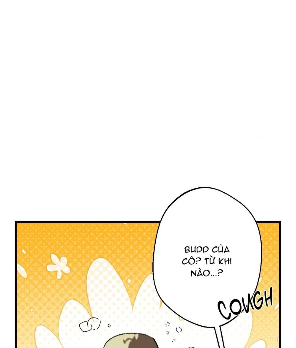 Gửi Lời Chúc Phúc Của Melt Tới Người Chapter 47 - Trang 2