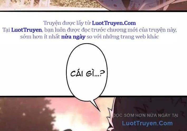 Hồi Quy: Tận Thế Báo Thù Chapter 29 - Trang 2