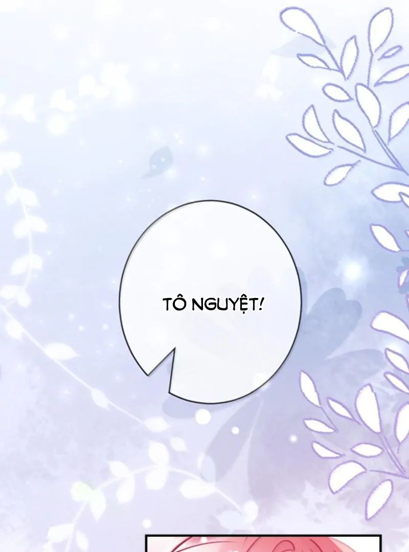 Nữ Chính Hắc Nguyệt Quang Luôn Muốn Đánh Dấu Tôi Chapter 36 - Trang 2
