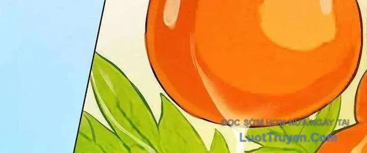 Không Gian Đặc Biệt Của Luật Sư Bình Dị Chapter 22 - Trang 2
