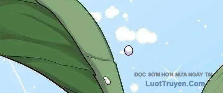 Không Gian Đặc Biệt Của Luật Sư Bình Dị Chapter 22 - Trang 2
