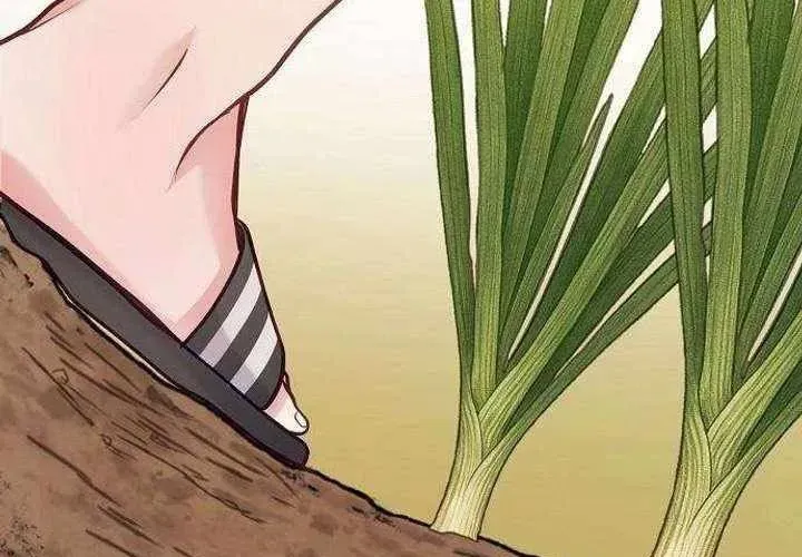 Không Gian Đặc Biệt Của Luật Sư Bình Dị Chapter 22 - Trang 2