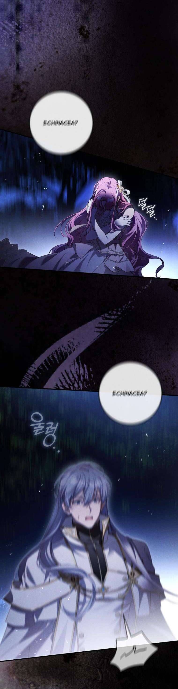 Hoa Giương Kiếm Chapter 43 - Trang 2