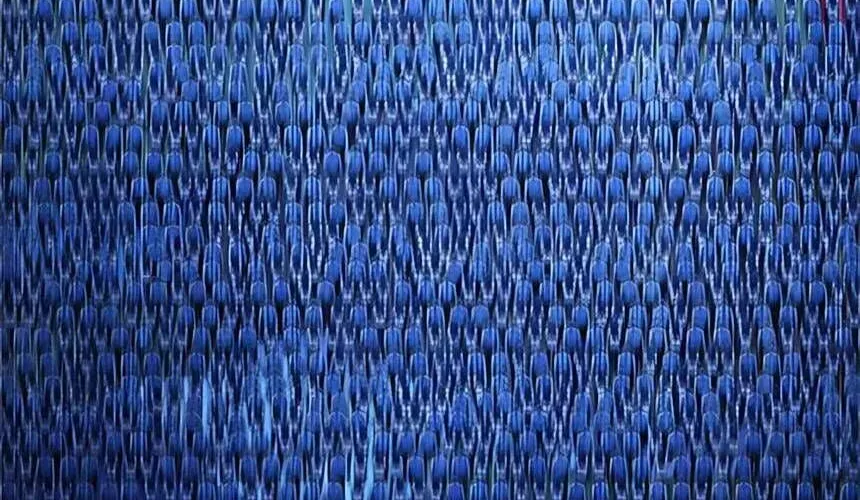 Người Cha Xác Sống Chapter 18 - Trang 2