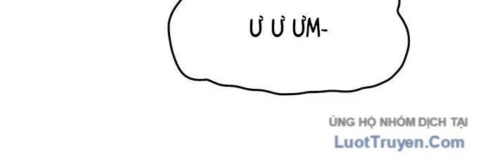 Hổ Giấy Chapter 4 - Trang 2