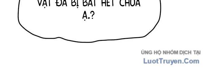 Hổ Giấy Chapter 4 - Trang 2