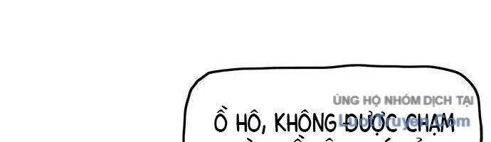 Hổ Giấy Chapter 5 - Trang 2