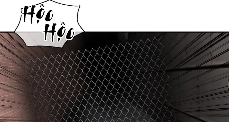 Chớ Bước Vào Nhà Hoang! Chapter 47 - Trang 2