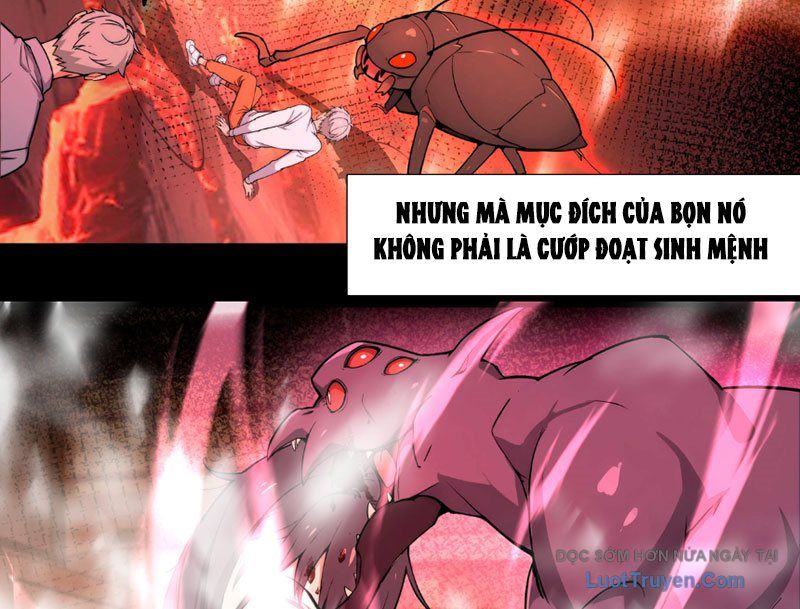 Dị Năng Trùng Sinh Ta Mang Theo Hàng Tỷ Tinh Cầu Vỡ Vụn Lập Thành Bá Nghiệp Chapter 1 - Trang 2