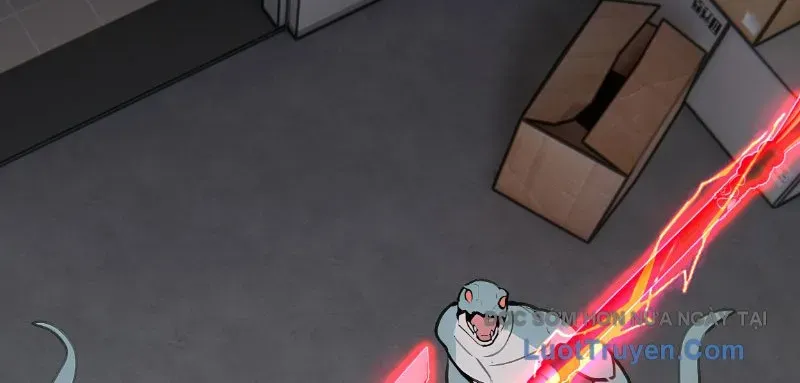 Dị Năng Trùng Sinh Ta Mang Theo Hàng Tỷ Tinh Cầu Vỡ Vụn Lập Thành Bá Nghiệp Chapter 3 - Trang 2