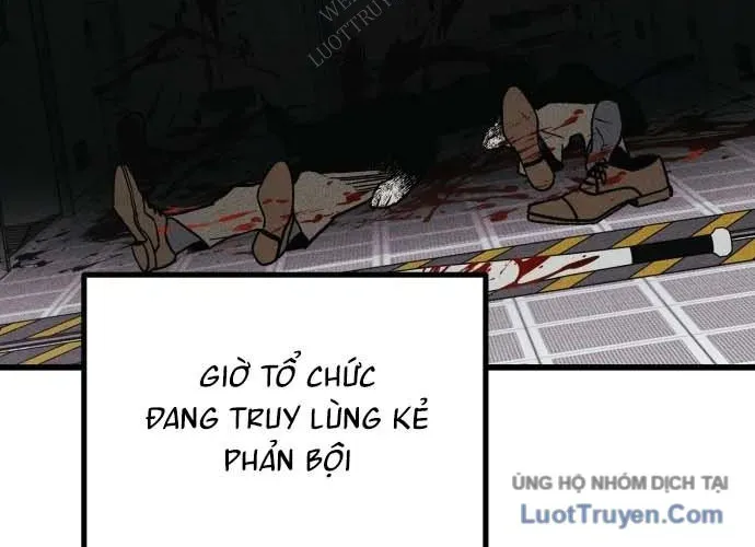 Diễn Viên Gangster Chapter 23 - Trang 2