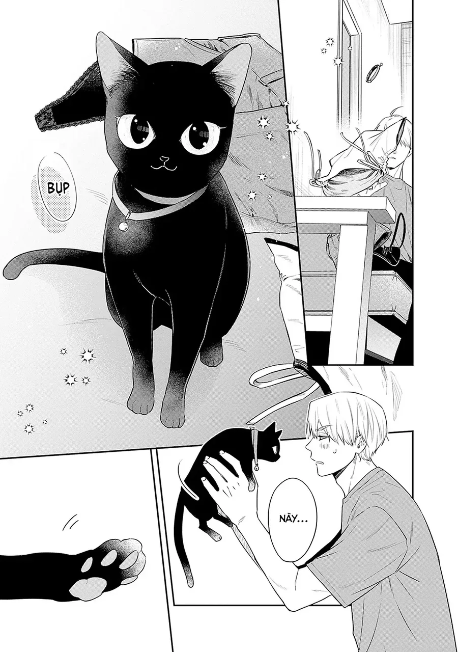 Mi-Chan Wa Kawaretai Chapter 24 - Trang 2