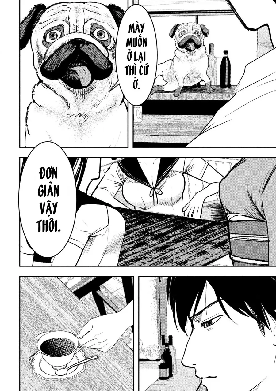 Innu – Chú Chó Bá Đạo Chapter 11 - Trang 2