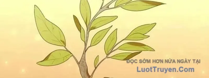 Thợ Săn Của Lớp Gà Con Chapter 53 - Trang 2