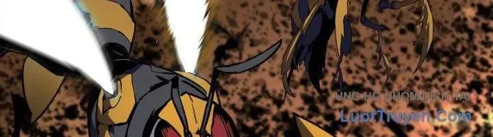 Tôi Là Lính Mới Chapter 239 - Trang 2