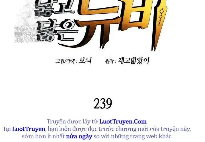 Tôi Là Lính Mới Chapter 239 - Trang 2