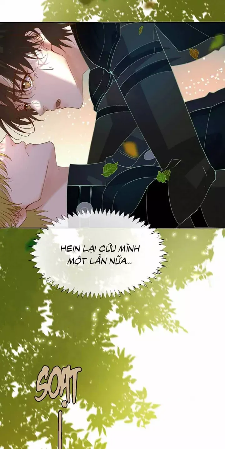 Tuyệt Xử Phùng Sinh Chapter 103 - Trang 2