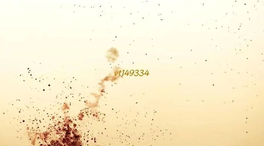 Loser Giỏi Võ Chapter 142 - Trang 2