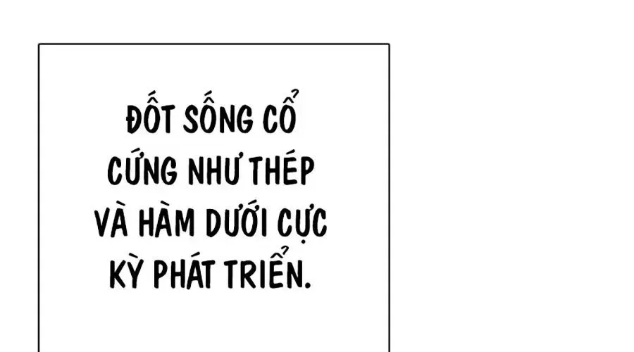 Loser Giỏi Võ Chapter 143 - Trang 2