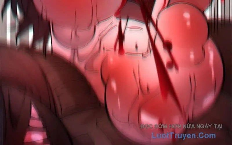 Ranker Sss Được Chọn Chapter 34 - Trang 2