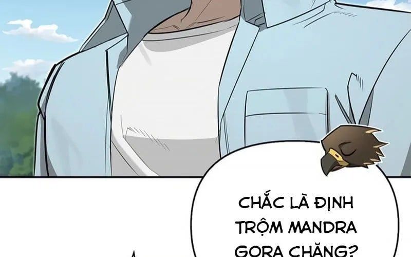 Healer Cấp S Chữa Trị Cho Quái Vật Chapter 19 - Trang 2