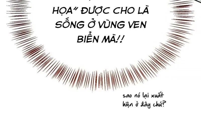 Healer Cấp S Chữa Trị Cho Quái Vật Chapter 19 - Trang 2