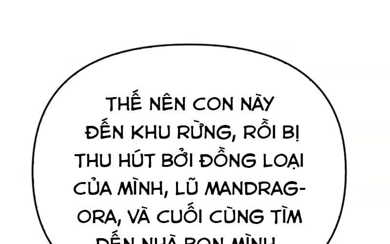 Healer Cấp S Chữa Trị Cho Quái Vật Chapter 19 - Trang 2