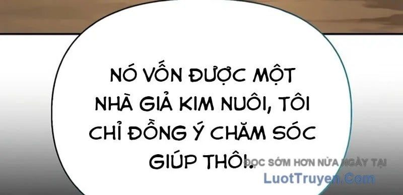 Healer Cấp S Chữa Trị Cho Quái Vật Chapter 19 - Trang 2