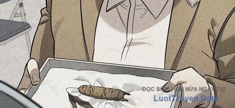 Healer Cấp S Chữa Trị Cho Quái Vật Chapter 19 - Trang 2