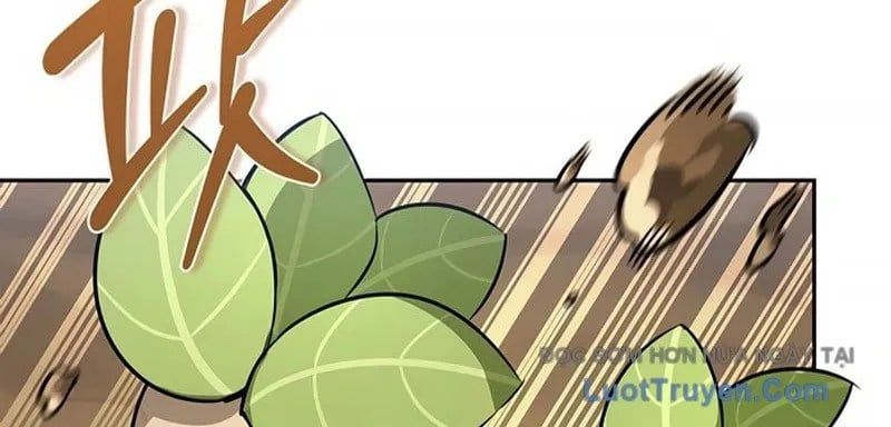 Healer Cấp S Chữa Trị Cho Quái Vật Chapter 19 - Trang 2