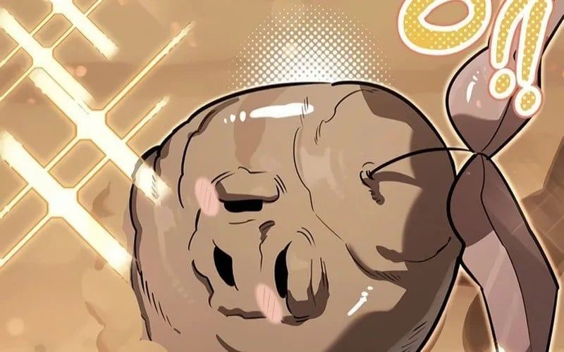 Healer Cấp S Chữa Trị Cho Quái Vật Chapter 19 - Trang 2