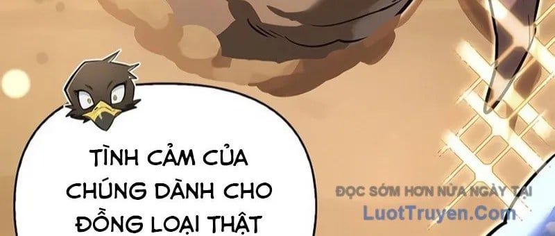 Healer Cấp S Chữa Trị Cho Quái Vật Chapter 19 - Trang 2