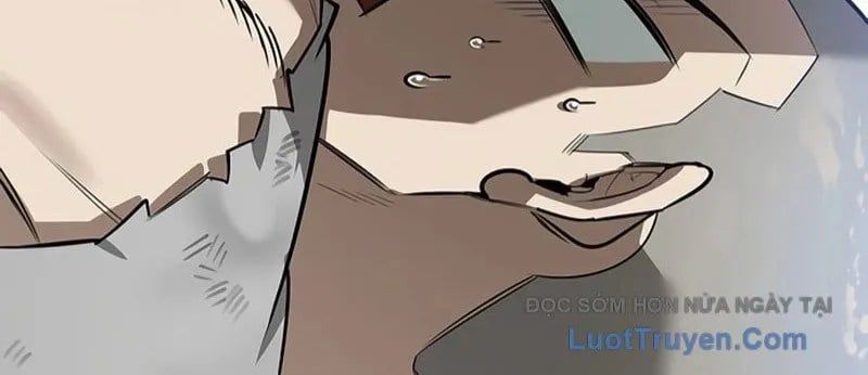 Healer Cấp S Chữa Trị Cho Quái Vật Chapter 19 - Trang 2