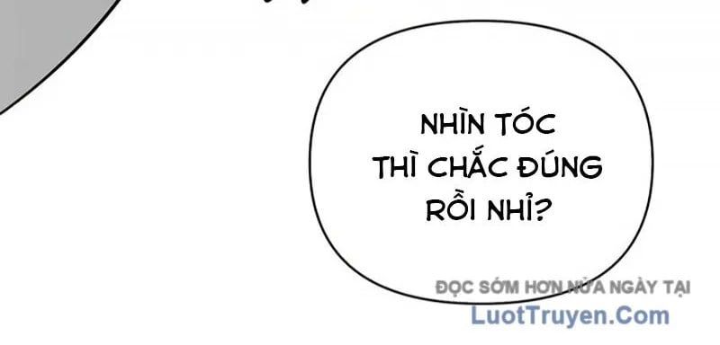 Healer Cấp S Chữa Trị Cho Quái Vật Chapter 19 - Trang 2