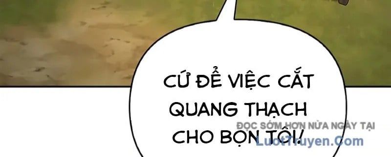 Healer Cấp S Chữa Trị Cho Quái Vật Chapter 19 - Trang 2