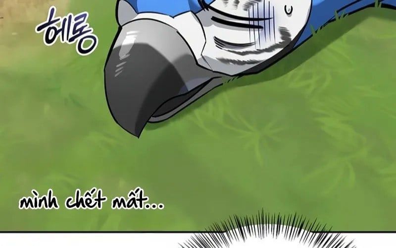 Healer Cấp S Chữa Trị Cho Quái Vật Chapter 19 - Trang 2