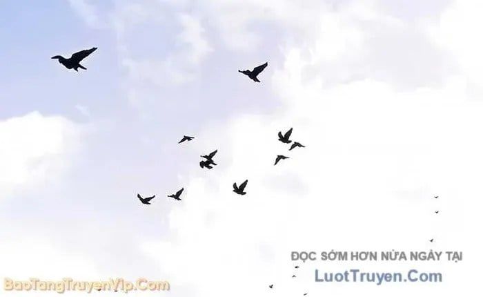 Chuyển Sinh Thành Con Ngoài Giá Thú Của Gia Đình Kiếm Thuật Danh Tiếng Chapter 66 - Trang 2