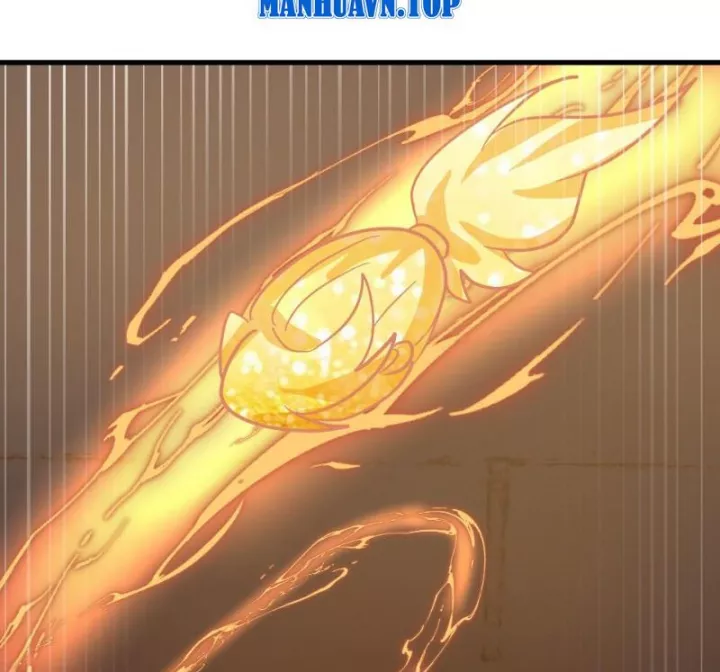 Võ Luyện Đỉnh Phong Chapter 4851 - Trang 2