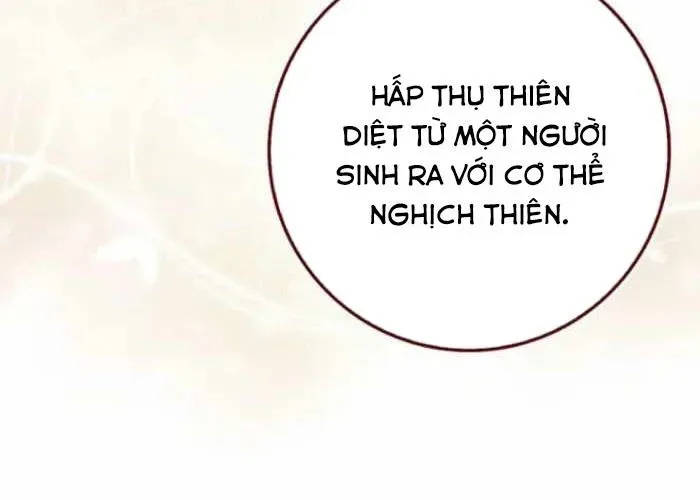 Thiên Tài Võ Thuật Hồi Quy Chapter 113 - Trang 2