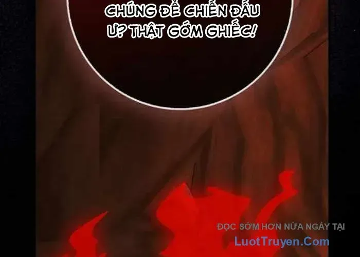 Thiên Tài Võ Thuật Hồi Quy Chapter 113 - Trang 2