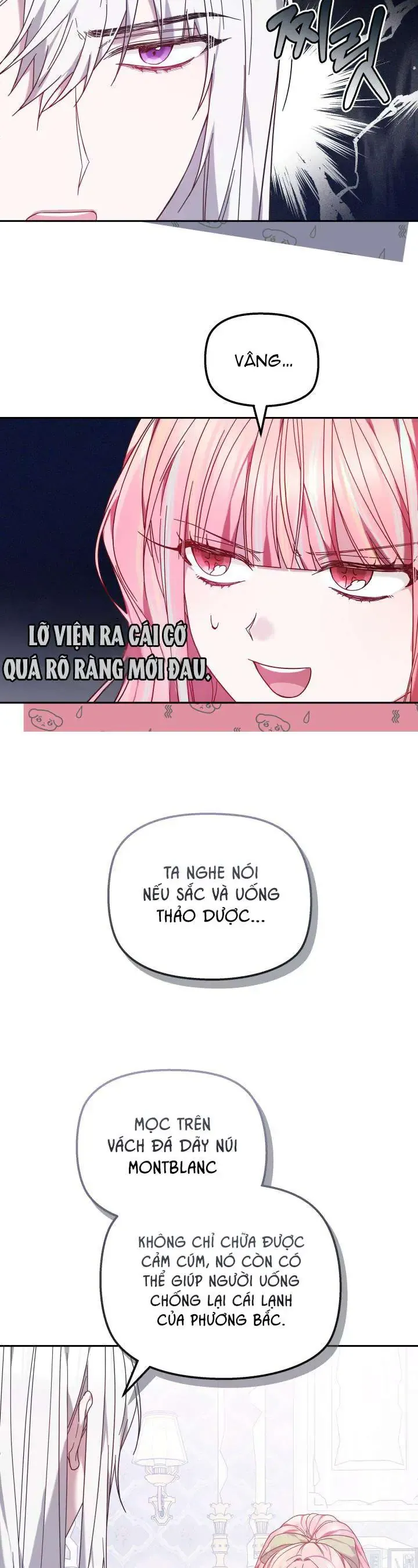 Tiểu Thư Mạnh Mẽ Muốn Trở Nên Yếu Đuối Chapter 6 - Trang 2