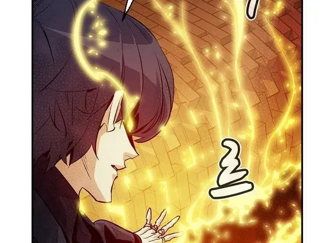 Độc Cô Tử Linh Sư Chapter 200 - Trang 2