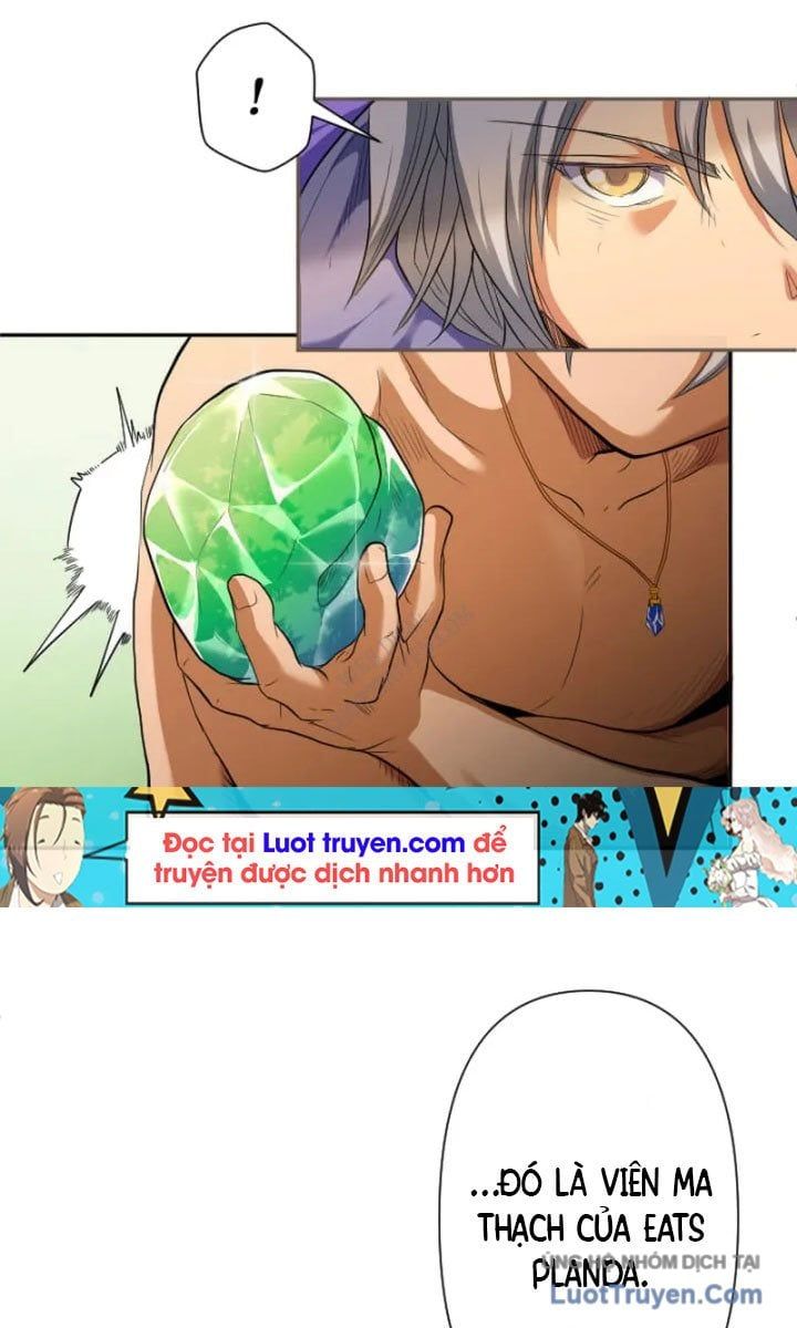 Đại Hiền Giả Sở Hữu Trăm Ma Thạch Chapter 8 - Trang 2