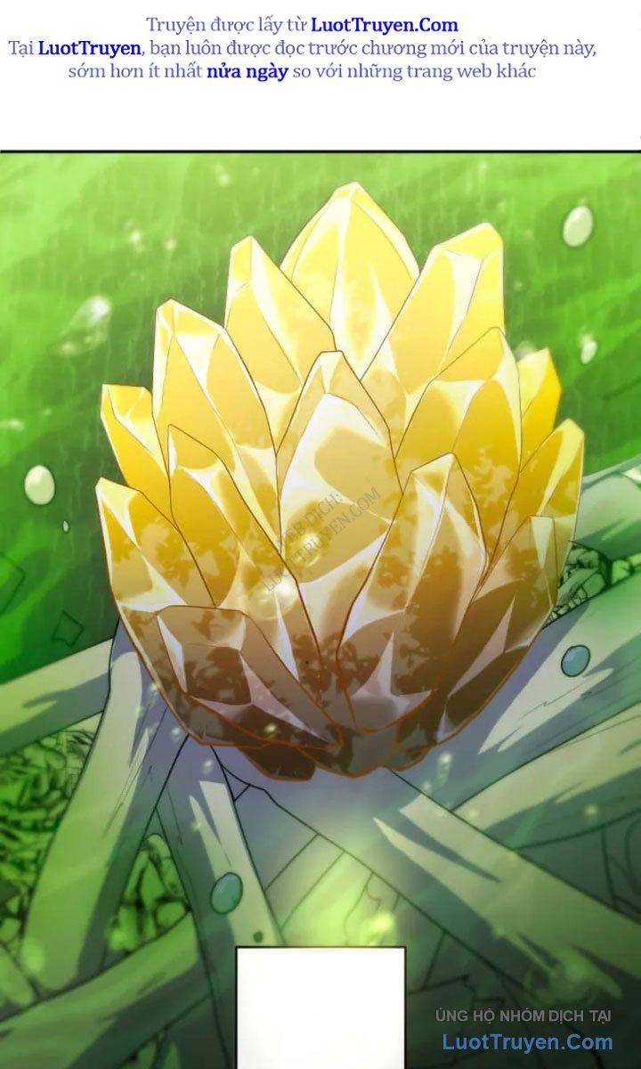 Đại Hiền Giả Sở Hữu Trăm Ma Thạch Chapter 8 - Trang 2