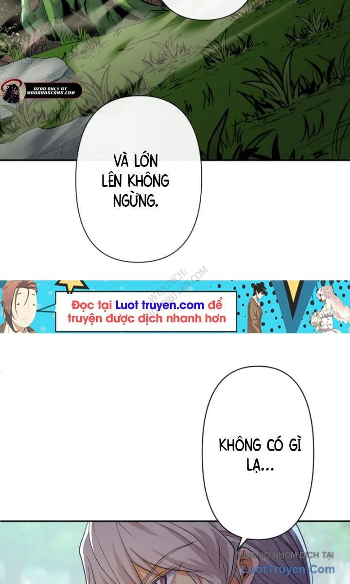 Đại Hiền Giả Sở Hữu Trăm Ma Thạch Chapter 8 - Trang 2
